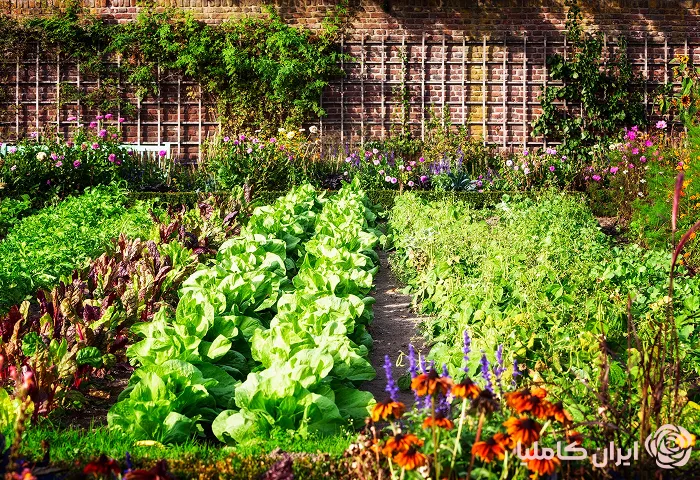 محوطه سازی باغ ویلا